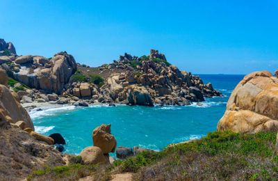 Đặt chân đến Cù lao Câu, thưởng ngoạn thiên đường lặn ngắm san hô rực sắc màu