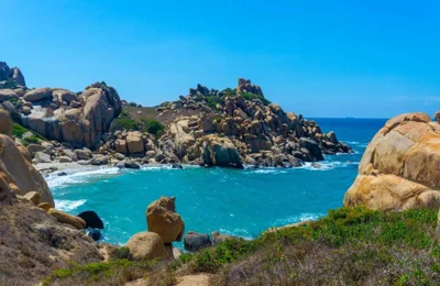 Đặt chân đến Cù lao Câu, thưởng ngoạn thiên đường lặn ngắm san hô rực sắc màu