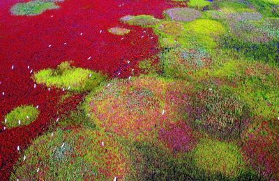 Ngắm Di sản Thế giới mới năm 2024 của UNESCO