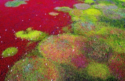 Ngắm Di sản Thế giới mới năm 2024 của UNESCO