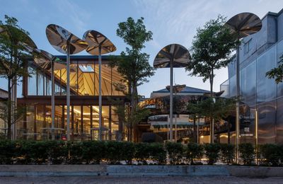 Thiết kế biophilic – kiến tạo phong cách sống wellness