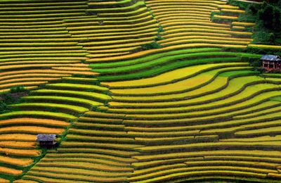 Top 10 cảnh đẹp rực rỡ nhất thế giới