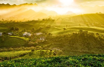 Địa phương Việt Nam từng được vinh danh "hàng đầu thế giới", được ví như viên ngọc xanh, mùa nào cũng đẹp