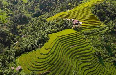 Mùa lúa vẹn nguyên sau bão, Hà Giang mời khách trở lại