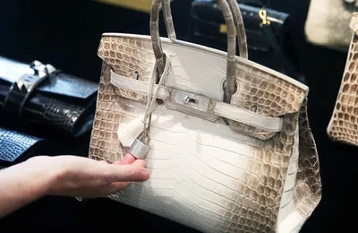 Review túi Hermès Bạch Tạng Himalaya của Ngọc Trinh