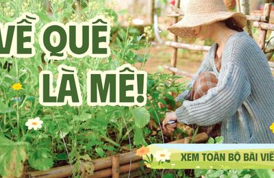 Gia đình 3 người về quê mua đất và biến nhà thành "khu rừng" thu nhỏ: Trời nóng 40 độ, không điều hòa vẫn mát!