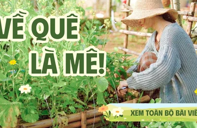 Gia đình 3 người về quê mua đất và biến nhà thành "khu rừng" thu nhỏ: Trời nóng 40 độ, không điều hòa vẫn mát!