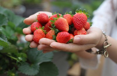 7 đặc sản Đà Lạt mua làm quà ngon và chất lượng