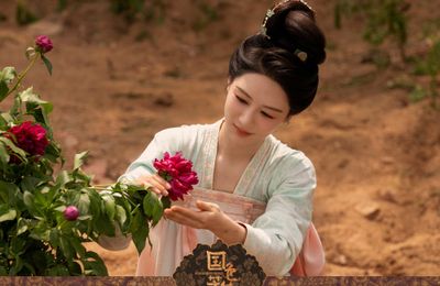 Cách chăm sóc hoa mẫu đơn trong Quốc Sắc Phương Hoa