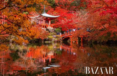 10 địa điểm trong danh sách checkin khi du lịch Kyoto
