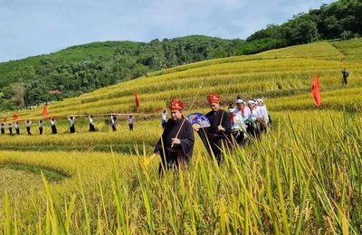 Lễ hội Mùa vàng trên non cao Phú Thọ – điểm hẹn du lịch hấp dẫn