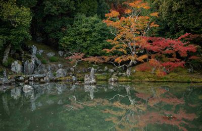 Tính thiền trong các khu vườn truyền thống ở đền Tenryu