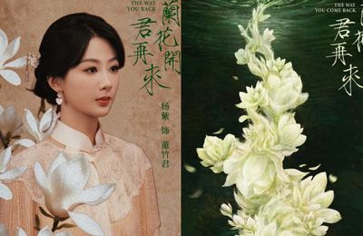 Dương Tử liên tiếp nhận dự án phim tầm cỡ thể loại đại nữ chủ, chuyển mình trong sự nghiệp