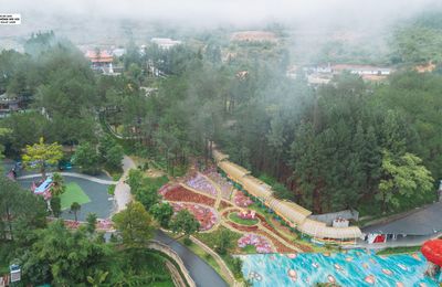 Một ngày lạc giữa Rừng Thông Núi Voi, nơi bình yên chạm tới từng hơi thở