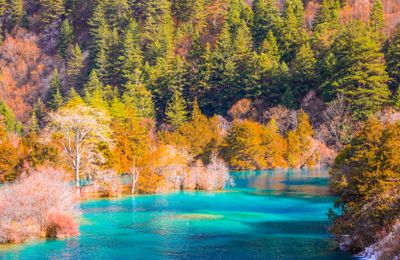 Top chùm tour dưới 20 triệu – Vi vu cùng các “huyền thoại mùa thu”