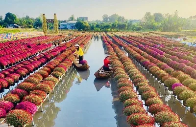 Festival Hoa – Kiểng Sa Đéc: Bước tiến mới trong phát triển du lịch văn hóa – nông nghiệp