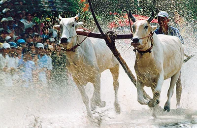 An Giang thắp sáng giá trị đoàn kết, nâng cao đời sống đồng bào dân tộc