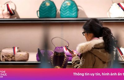 Italy mở cuộc điều tra Gucci, Prada và 11 hãng thời trang xa xỉ