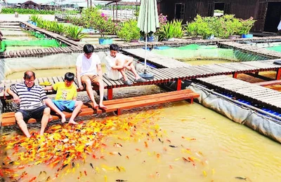 TP Cần Thơ: Người dân địa phương là linh hồn của du lịch cộng đồng