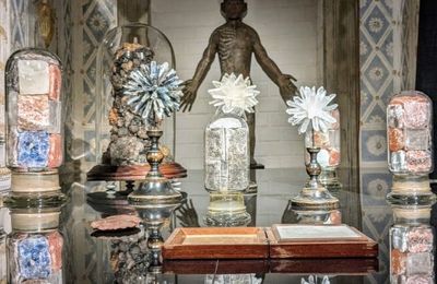 Triển lãm Cabinet of Wonders: Những kỳ quan trong chiếc tủ của nhà sưu tầm