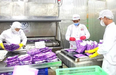 Thanh Hóa: Đạt nhiều kết quả quan trọng trong hội nhập kinh tế quốc tế