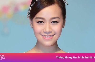 Huỳnh Tâm Dĩnh giải nghệ