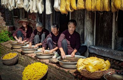 Các làng nghề thủ công truyền thống của Việt Nam