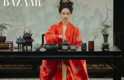 Trang Hàn Nhạn, tiếng nói nữ quyền trong Khi Chim Nhạn Trở Về (Quý Nữ)