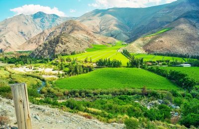 5 vùng rượu vang ngon nổi tiếng của Chile
