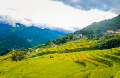 Y Tý: Thiên đường săn mây ở Lào Cai