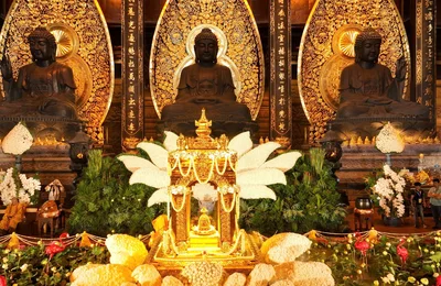 Cung rước Xá lợi Phật tại chùa Tam Chúc: Hành trình linh thiêng kết nối quá khứ và hiện tại