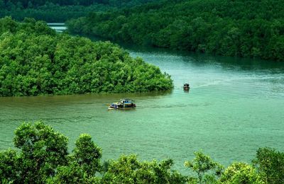 Trốn phố, tìm rừng: Du lịch Cần Giờ chỉ cách Sài Gòn 50km