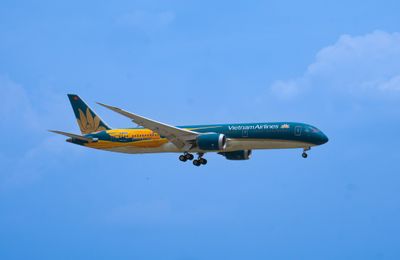 Vietnam Airlines ưu đãi lớn tháng 5: Giảm 30% phí chọn chỗ & hành lý trả trước