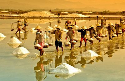 Check-in từ biển đến núi: 13 điểm đến nổi bật ở Quảng Ngãi