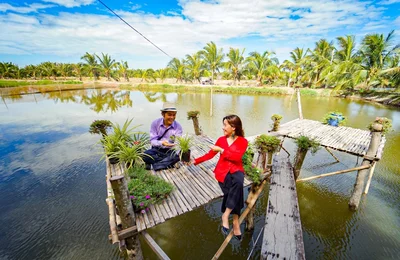 Trà Vinh mở rộng vùng đạt chuẩn NTM nâng cao trong năm 2025