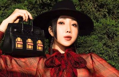 Thú chơi túi Hermès của TikToker Cún Bông trước khi bị khởi tố