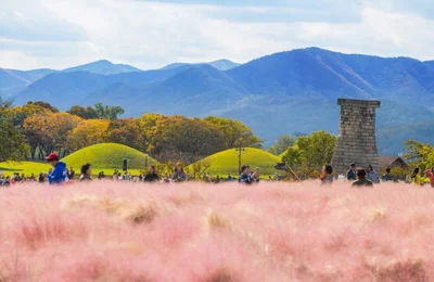 Top 6 tour Hàn Quốc mùa thu không thể bỏ lỡ 2025