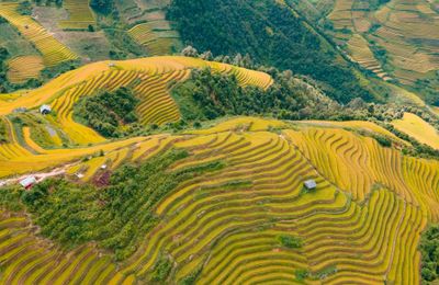 Du lịch tháng 8 có trải nghiệm gì hấp dẫn?