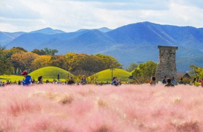 Top 6 tour Hàn Quốc mùa thu không thể bỏ lỡ 2025