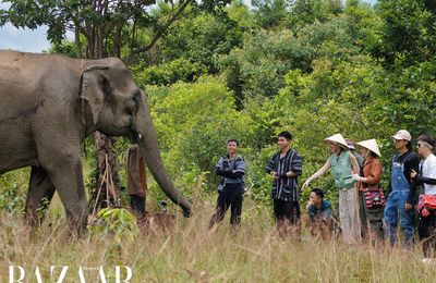 Tập 13 đưa dàn cast Gia đình Haha đi tìm hiểu văn hóa Đắk Lắk