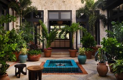 Nhà nhiệt đới Bahamas: Bản tình ca cho tâm hồn người nghệ sĩ