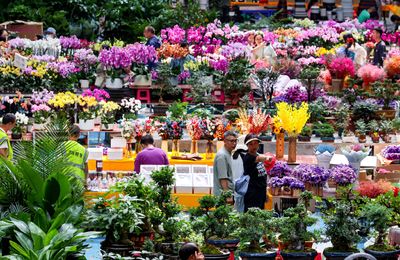 Chợ hoa Đấu Nam – Thiên đường hoa tươi bậc nhất châu Á