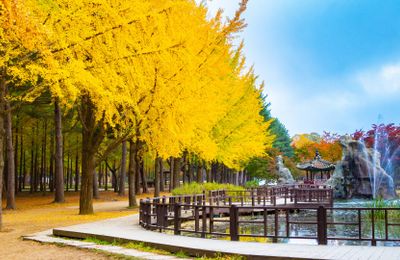 Top 4 tour mùa thu 2025 không thể bỏ lỡ – Trải nghiệm khó quên