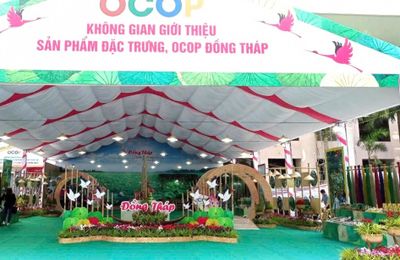 Sản phẩm OCOP Đồng Tháp – Từ làng nghề đến mùa xuân