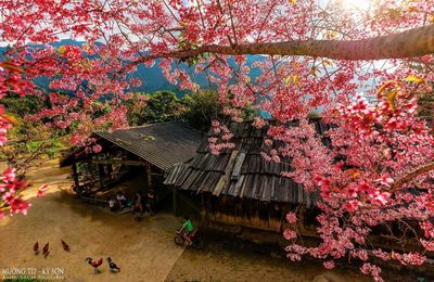 Kỳ Sơn - Hành trình chạm mây nơi miền Tây xứ Nghệ