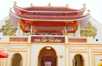 Vĩnh Long: Bảo tàng Dừa sáp khẳng định giá trị du lịch đặc trưng vùng ĐBSCL