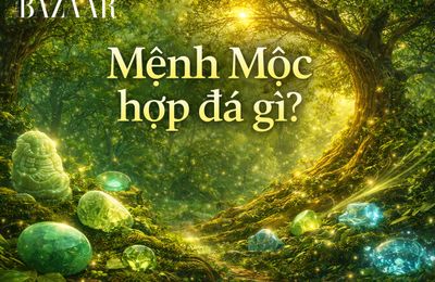 Mệnh Mộc hợp đá gì? Cách chọn đá đúng cho người mới bắt đầu
