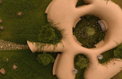 Nhà Into The Wild: Vòng cung và thảm xanh