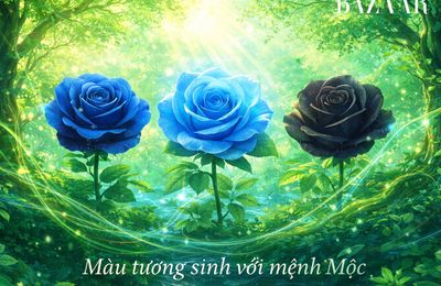 Mệnh Mộc hợp màu gì và kỵ màu gì? Giải mã chi tiết theo phong thủy Ngũ hành