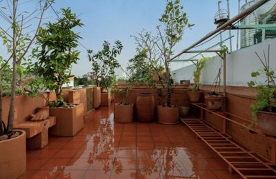 Vườn sân thượng: Ốc đảo trên cao